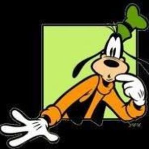 Meet your Posher, Cori